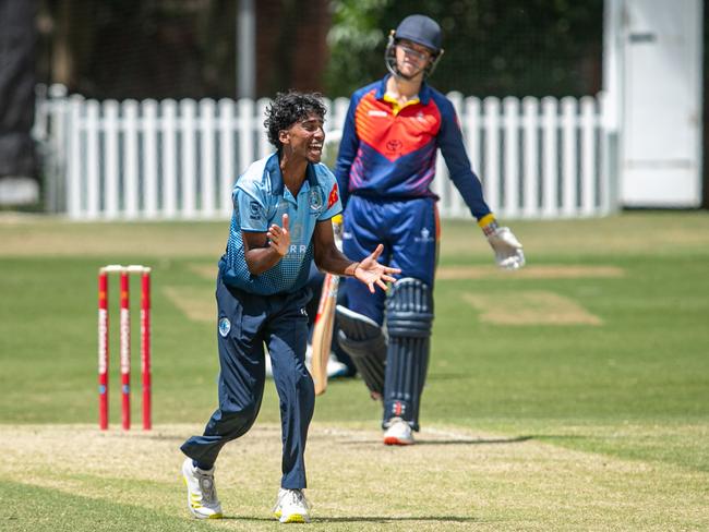 Parramatta’s Evan David gets Noah Quayle caught behind. Pics by Julian Andrews