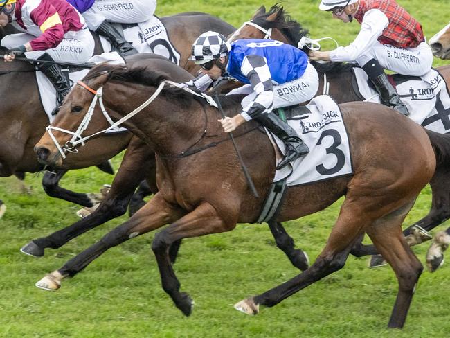 Hugh Bowman (black and white checks) and Mugatoo charge home to win the Winter Challenge at Rosehill Gardens.