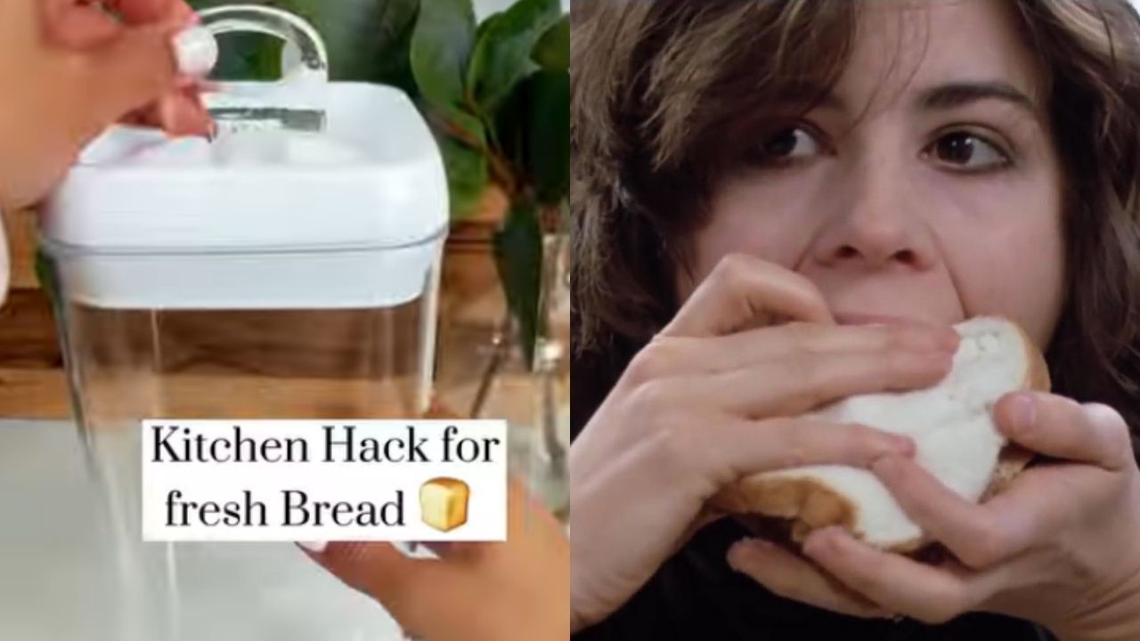 Mum shares simple Kmart hack for keeping bread fresh Kidspot