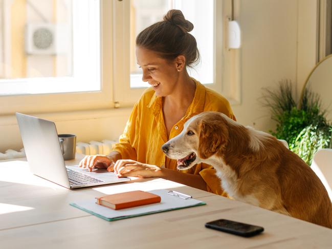 Photo of a young woman who is working from her home office, having the cutest and the cuddliest asistent - her pet dog