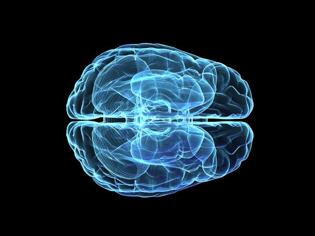 3D wire-frame graphic of a brain. Human Brain. stock image. Picture: ThinkStock