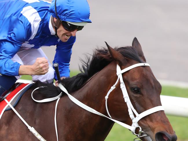 The 2018 Ladbrokes Cox Plate at Moonee Valley Racecourse in Melbourne. Winx ridden by Hugh Bowman, and trained by Chris Waller, wins the Cox Plate. Picture: Alex Coppel