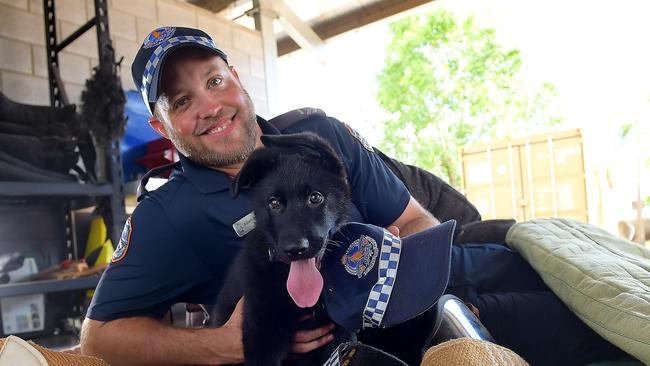 Drax, a nine-week-old German Shepherd pup destined to be a police dog with the help of Alice Springs NT Police Dog Unit Constable Adam Donaldson. Picture Patrina Malon