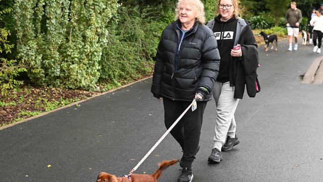 Million Paws Walk at Adelaide Botanic Gardens. Picture: Brenton Edwards