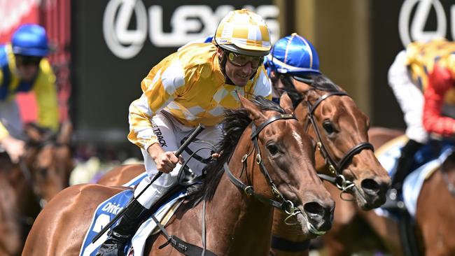 Damien Oliver can land a fairytale win in his final race in Melbourne when he partners Queen Of The Ball. Picture: Morgan Hancock/Racing Photos via Getty Images