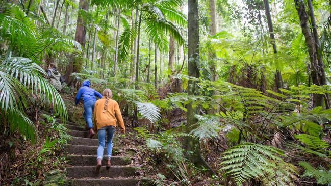 The Moreton Bay Region has plenty of bushwalks for locals and visitors to enjoy. Photo: Dominika Lis