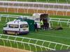 Horse dies days before Melbourne Cup