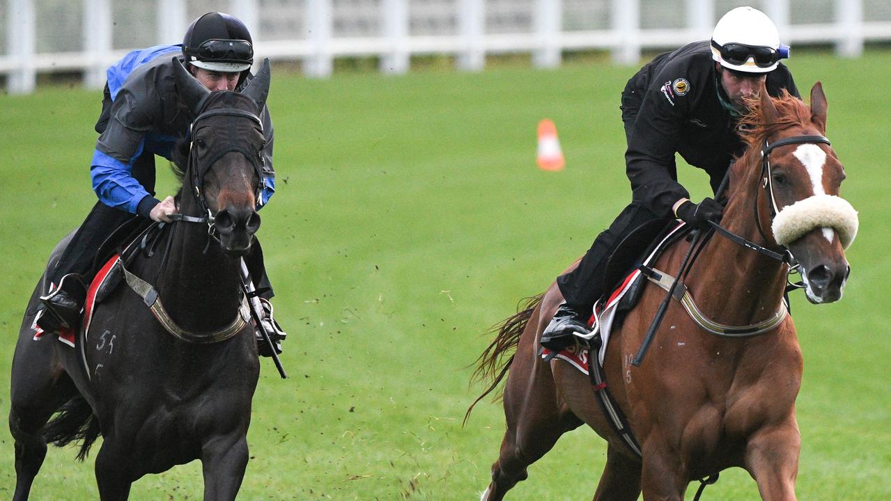 Moonee Valley Trackwork Session