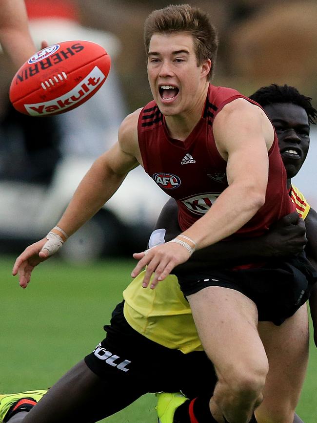 Zach Merrett elevated his game to Beast status in 2016. Picture: Wayne Ludbey