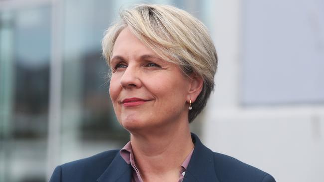 Environment Minister Tanya Plibersek. Picture: Nikki Davis-Jones