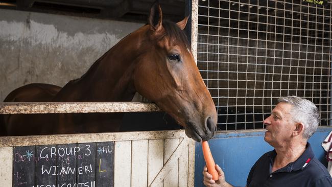 Trainer Tony Sears feeds Yellow Brick a carrot at his Toowoomba stables. Picture: Kevin Farmer