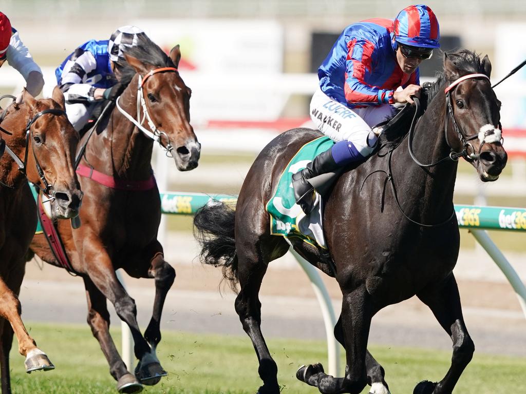 Michael Walker pilots Prince Of Arran to victory the Geelong Cup.