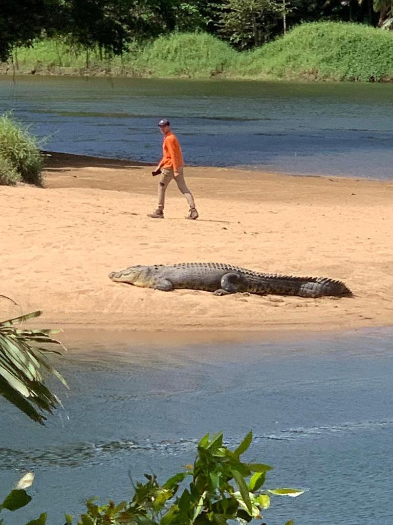 The beloved croc is known by locals as Clyde.