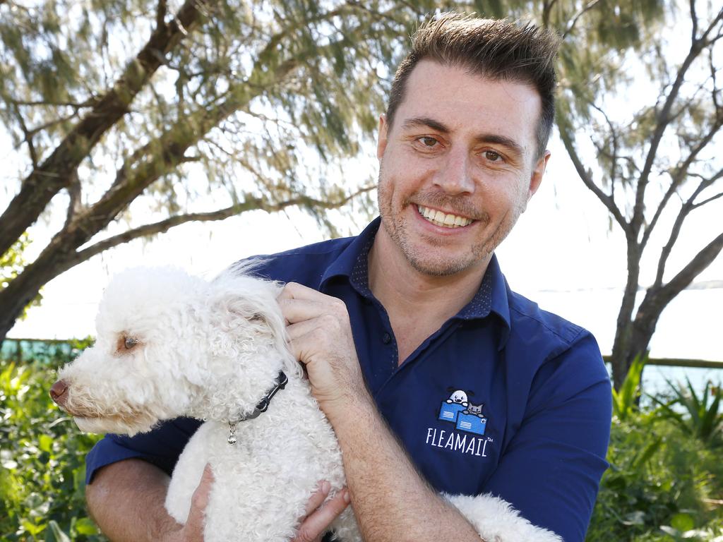 Titer test: QLD pet anti-vaxxers use jab to avoid vaccination | The Courier  Mail
