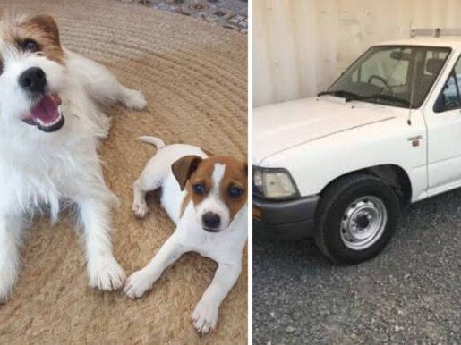 Two dogs have been found dead a day after being stolen from a property in northwest Victoria. Picture: 3AW