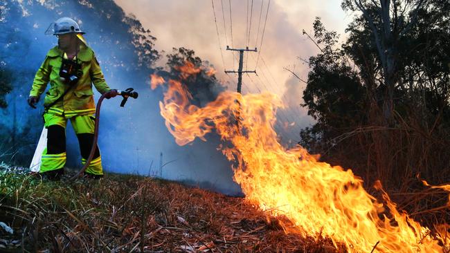 Firefighters working hard to keep a backburn under control on the esatern slopes of Mt Tamborine. Picture Glenn Hampson