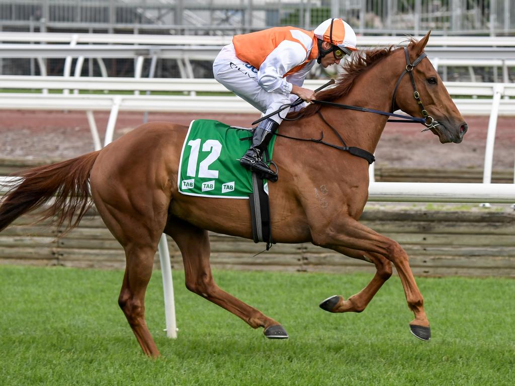 Vow and Declare running at Flemington.