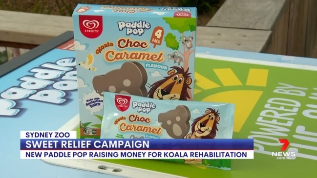 Paddle Pop launches new koala ice cream to raise awareness for animal’s plight (7 News)