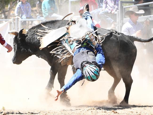 PHOTO GALLERY: Mt Morgan Rodeo Mini Bull Riding September 26 2020