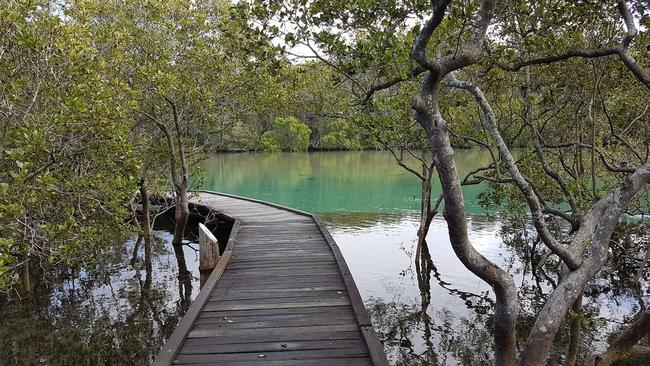 Coffs Creek boardwalk.