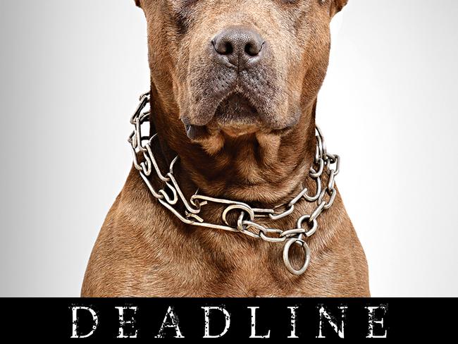 web Andrew rule Deadline Dog