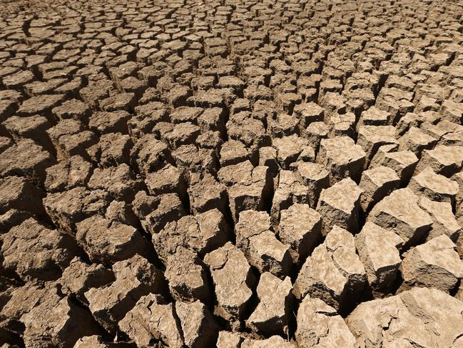 Generic Cracked dry earth , mud, dirt, in a empty dry dam floor also with a dried jaw bone from a skull , on a drought declared farm , which has not had rain or water for months, near Charters Towers , in North QLD.