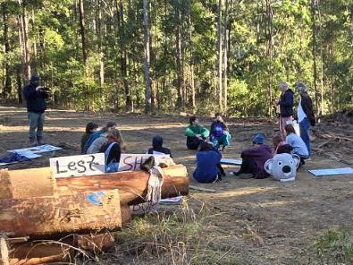 Protestors in the Orara East State forest interrupted logging on Tuesday amid claims illegal logging is occurring in the Great Koala National Park. Picture: Supplied