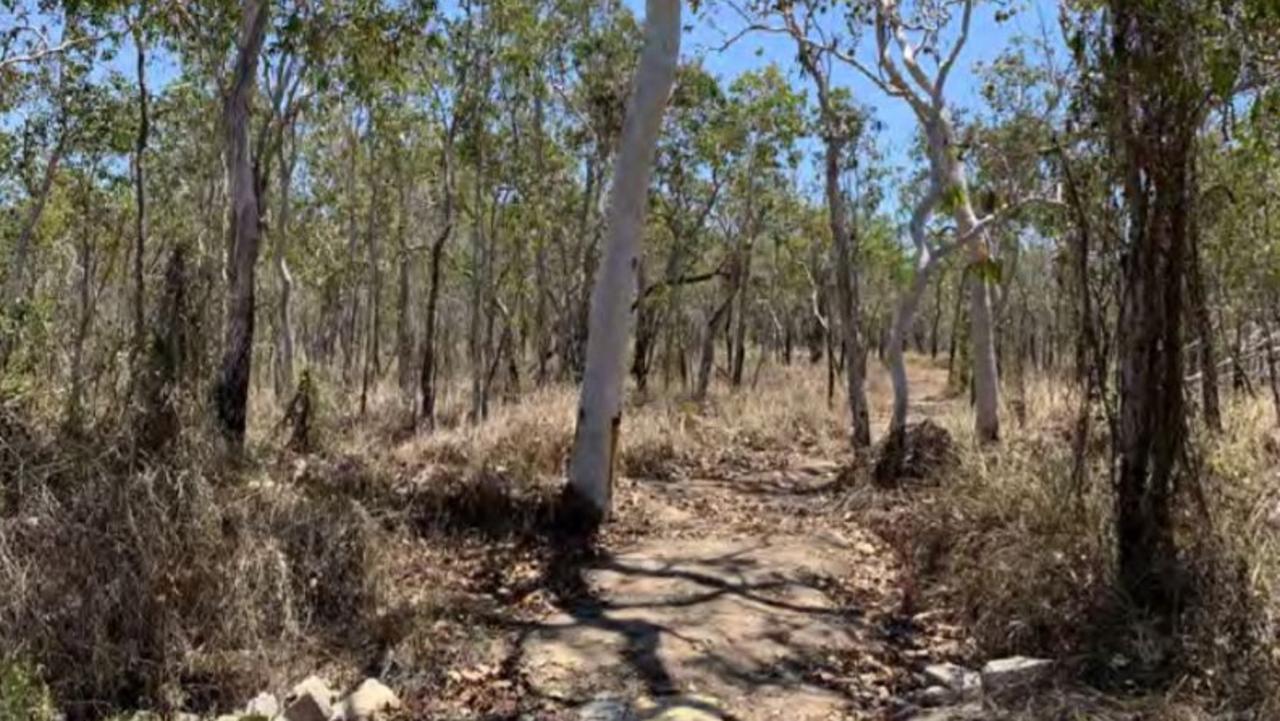 Mackay Regional Council discovered an extreme case of vegetation vandalism at Victor Creek Reserve off Finlaysons Point Rd, Seaforth. Picture: Mackay Regional Council