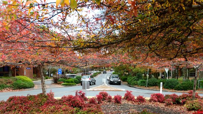 Stirling main street in autumn. The council argues that the character and beauty of the Hills could be lost if proposed planning changes come into effect. Pic: Tricia Watkinson