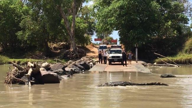 A large croc takes a break on Cahills Crossing as motorists wait to negotiate the causeway. Picture: Telisha J Kotzur