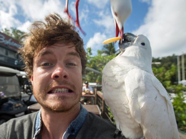 Allan Dixon’s animal selfies - cockatoo and seagull. Pic: @Daxon/Caters News