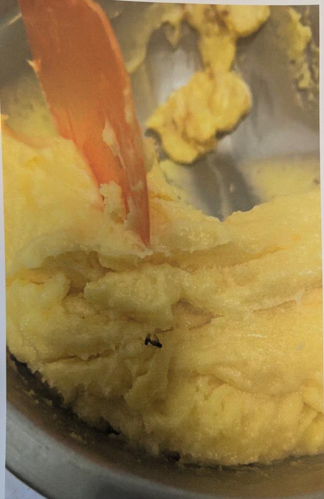 Pictures captured by City of Gold Coast Environmental Health Officers of dirty conditions inside former Mermaid Beach bakery Pane Organico. Picture: Supplied