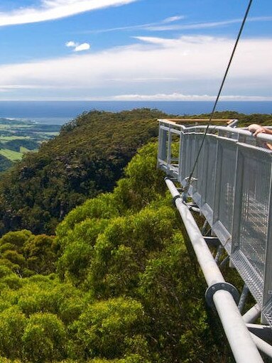 Illawarra Fly Treetop Adventures is home to the highest zip line in Australia, traversing through the Illawarra Rainforest. Picture: Visit NSW