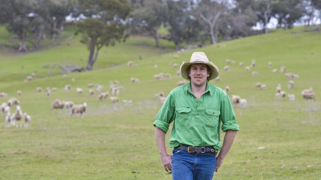 Jim Honner in one of the sheep paddock at his farm at Jugiong, NSW. Picture: Dannika Bonser