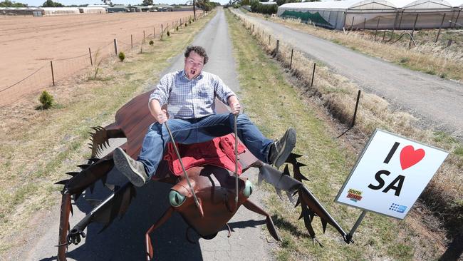 Cosi on the back of the Port Wakefield Rd cockroach sculpture he helped save. The sculpture was later put on display in Rundle Mall. Photo: Tait Schmaal.