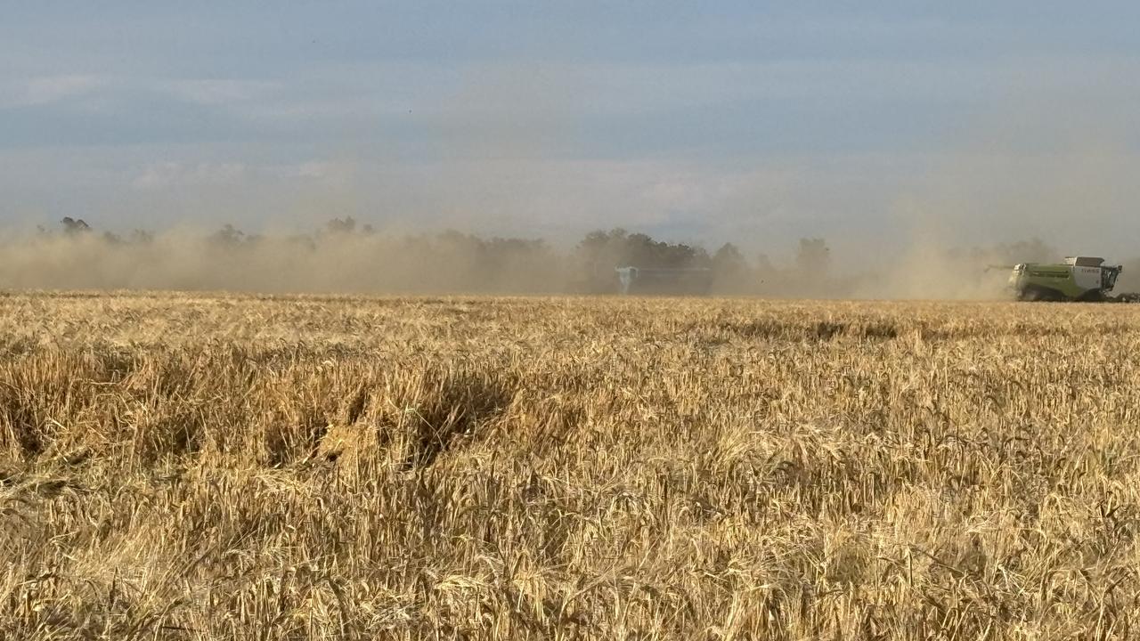 Northern NSW on cusp of record harvest