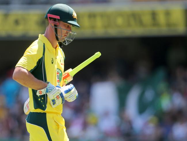 He hasn’t had much ODI success, but Darren Berry says Lynn is a must-play this weekend.