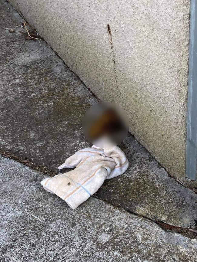 Human faeces outside a property in Glen Waverley. Picture: Supplied