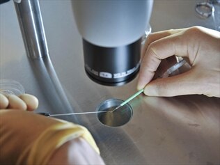 Almost half of Australian women believe that if they need IVF treatment, they've failed.