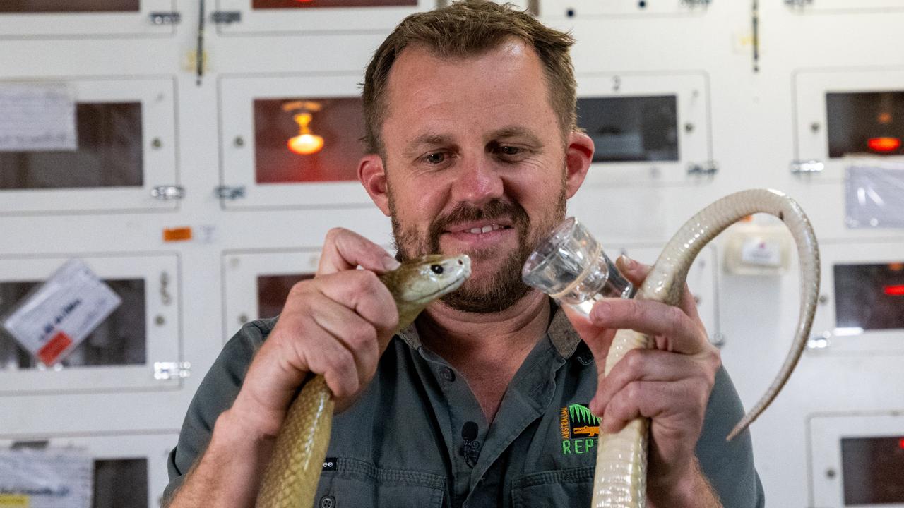 ‘Kill 400 people’: Aussie snake’s wild record