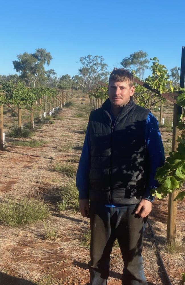 Singleton Station manager Will Stainkey at the pilot orchard in July 2023