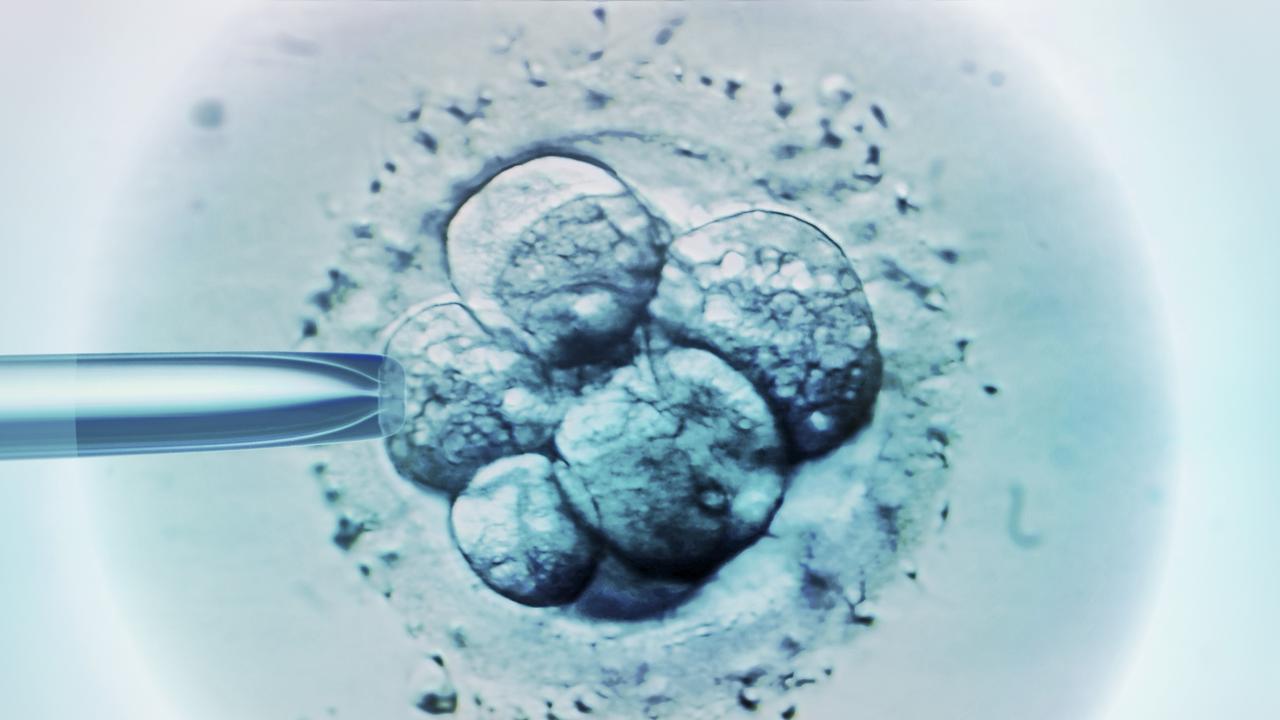 Monash IVF is accused of using patients’ embryos for scientific purposes without consent in explosive documents lodged in the Supreme Court of Victoria.