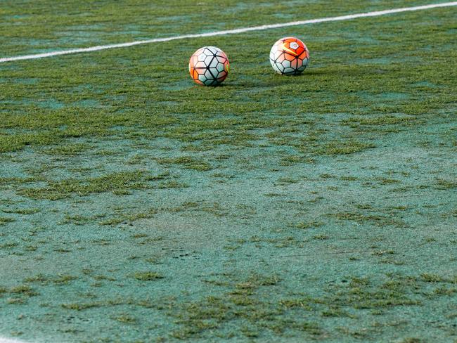 Part of the pitch in Auckland.