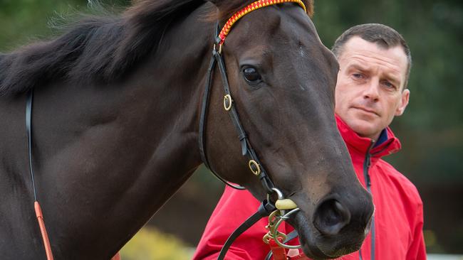 Adam Trinder says Mystic Journey is on target for the Cox Plate. Picture: Jay Town