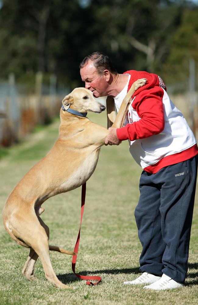 Trainer Bill Bright with retired racing dog and best mate, 10-year-old Dartanyan. Picture: Peter Lorimer.