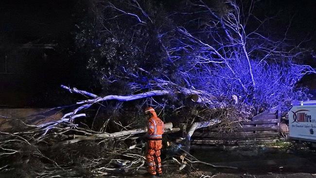 SES volunteers worked through the night to clean up damage in Mordialloc. Picture: SES Chelsea Unit