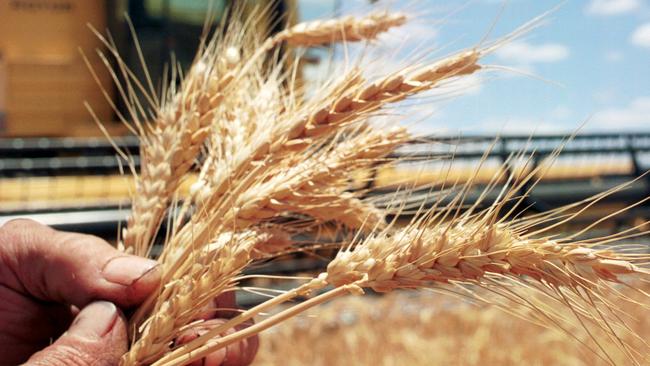 Vietnam is proving to be a key market for Australian grown wheat.