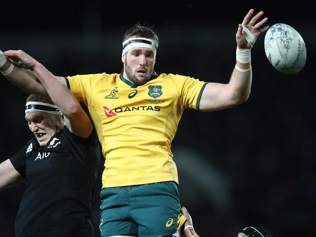 Rodda in action for the Wallabies against the All Blacks. Picture: Getty Images