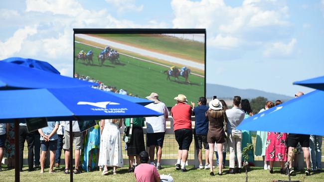 Yarra Valley Cup 2024. Picture: David Smith