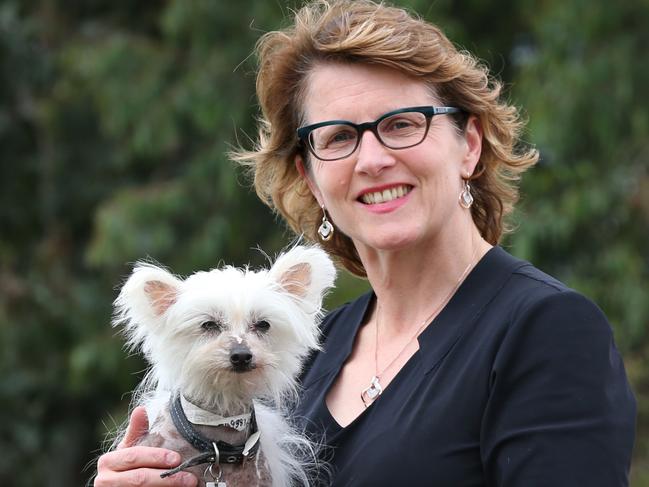 Dr Liz Walker, the RSPCA CEO who is locked in a battle with dog-breeders about how many dogs people should be able to have as breeding stock without registering as a breeder. Liz holding Tinkerbell a Chinese Crested she is up for adoption. Picture Rebecca Michael.